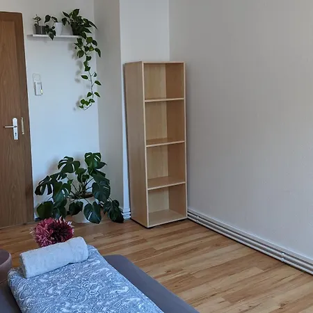 Double In The Black Forest Guest house Villingen-Schwenningen